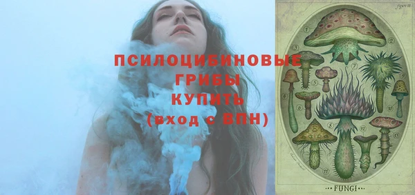 индика Арсеньев