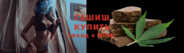 индика Арсеньев