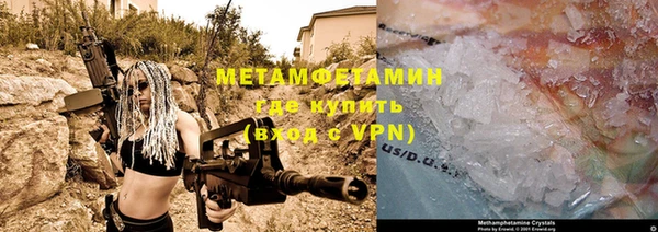 индика Арсеньев