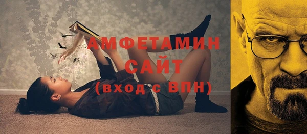 индика Арсеньев