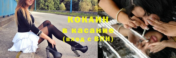 дживик Алексин
