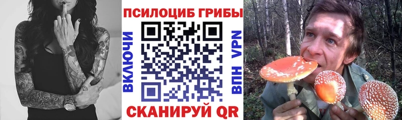 mega как войти  Беломорск  Галлюциногенные грибы Magic Shrooms 
